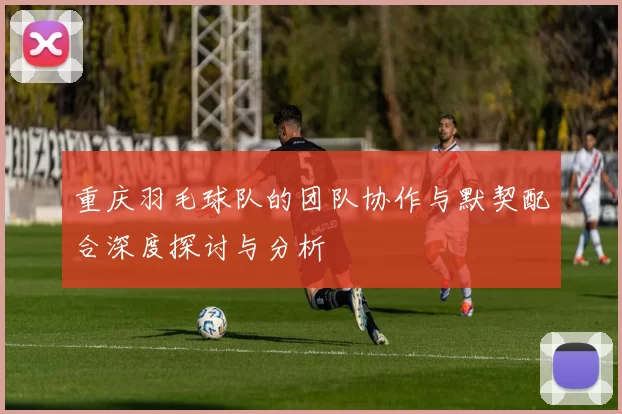 重庆羽毛球队的团队协作与默契配合深度探讨与分析