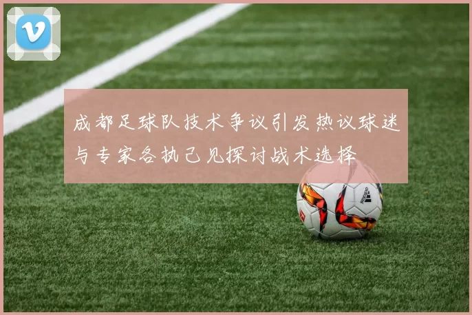 成都足球队技术争议引发热议球迷与专家各执己见探讨战术选择