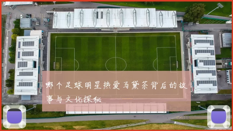 哪个足球明星热爱马黛茶背后的故事与文化探秘