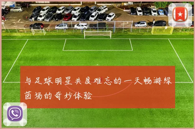 与足球明星共度难忘的一天畅游绿茵场的奇妙体验