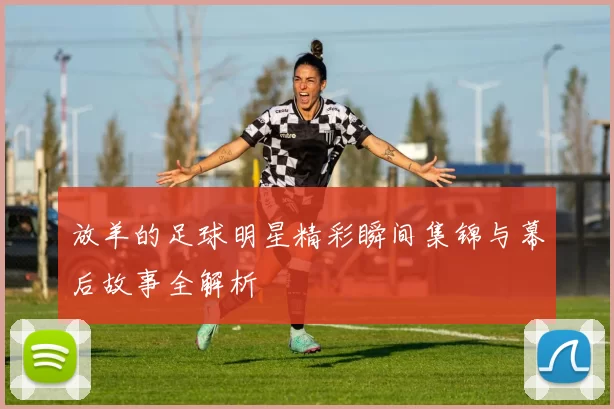 放羊的足球明星精彩瞬间集锦与幕后故事全解析
