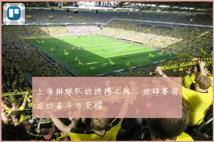 上海排球队的拼搏之路：世锦赛背后的奋斗与荣耀