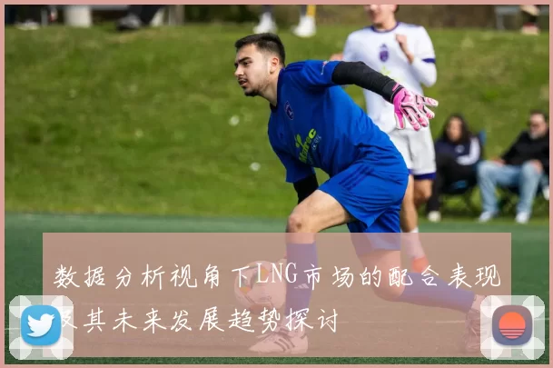 数据分析视角下LNG市场的配合表现及其未来发展趋势探讨