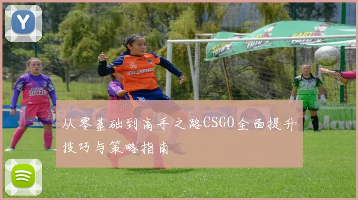 从零基础到高手之路CSGO全面提升技巧与策略指南