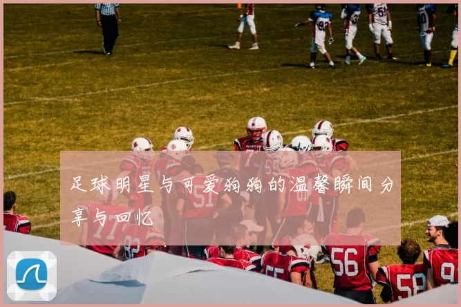足球明星与可爱狗狗的温馨瞬间分享与回忆