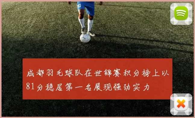成都羽毛球队在世锦赛积分榜上以81分稳居第一名展现强劲实力