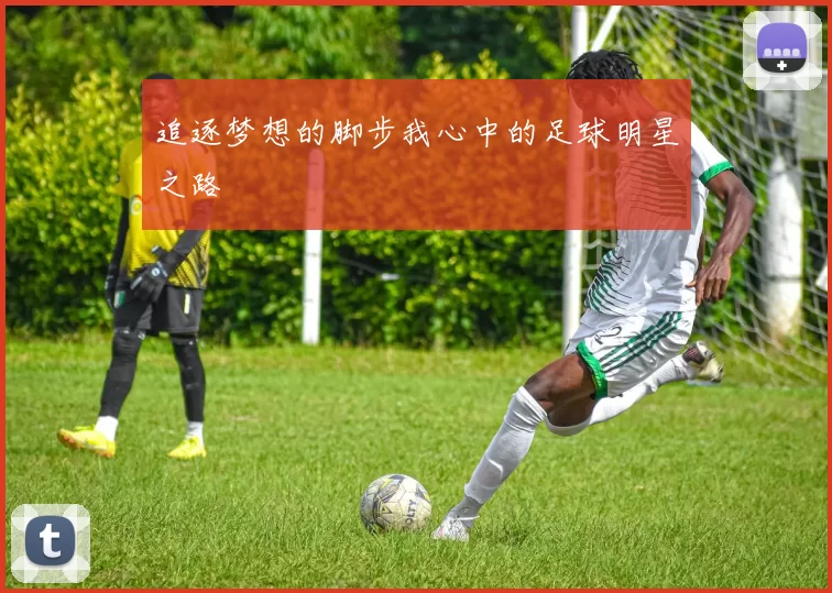 追逐梦想的脚步我心中的足球明星之路