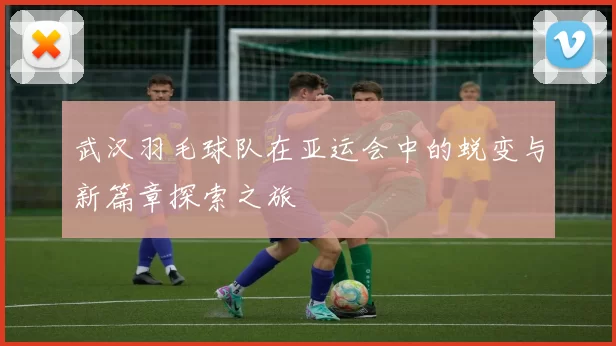 武汉羽毛球队在亚运会中的蜕变与新篇章探索之旅