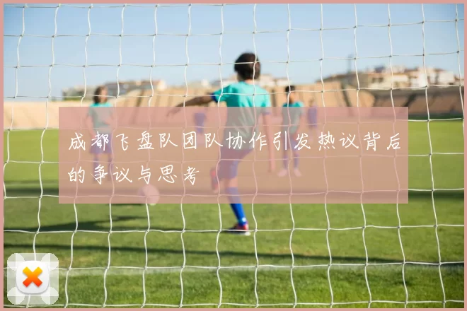 成都飞盘队团队协作引发热议背后的争议与思考
