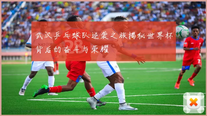 武汉乒乓球队逆袭之旅揭秘世界杯背后的奋斗与荣耀