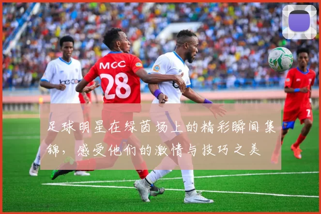 足球明星在绿茵场上的精彩瞬间集锦，感受他们的激情与技巧之美