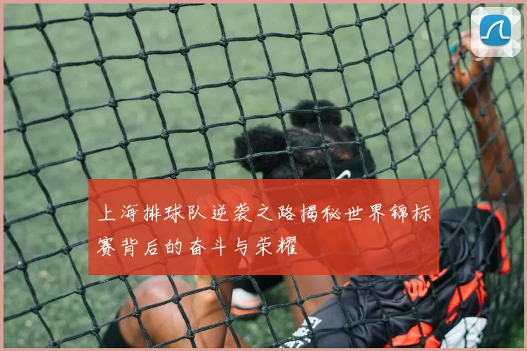 上海排球队逆袭之路揭秘世界锦标赛背后的奋斗与荣耀