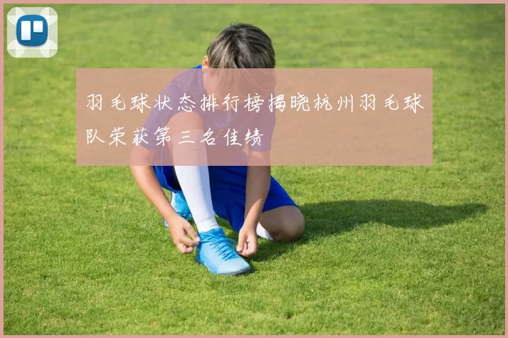 羽毛球状态排行榜揭晓杭州羽毛球队荣获第三名佳绩