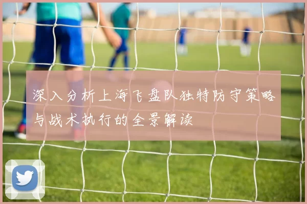深入分析上海飞盘队独特防守策略与战术执行的全景解读