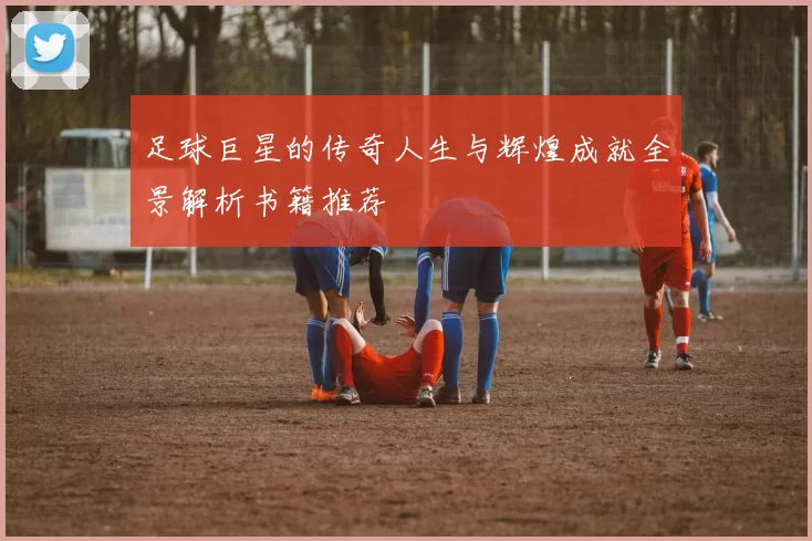 足球巨星的传奇人生与辉煌成就全景解析书籍推荐