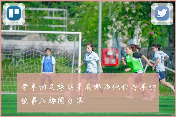 带羊的足球明星有哪些他们与羊的故事和趣闻分享