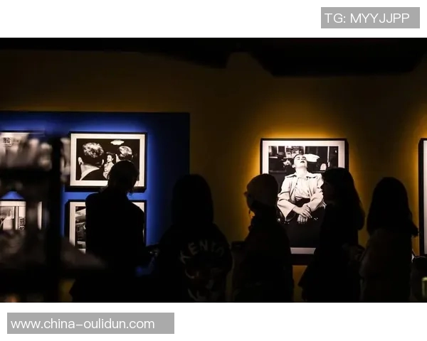 探索摄影艺术的无限魅力：从光影捕捉到情感传递的创作之旅