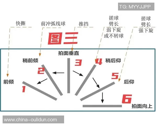 乒乓球技艺探秘：杭州乒乓球队反击战术的深度解析与启示