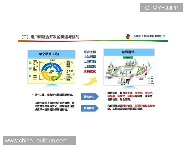 以个人项目为核心推动力，探索创业与创新的融合与实践路径