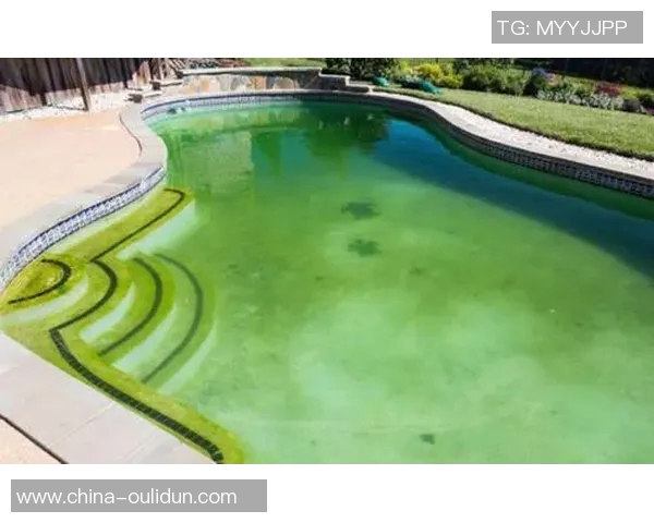 泳池清洁全面指南：保持水质清澈的有效方法与技巧