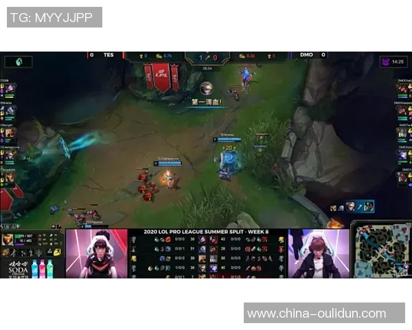 TES阵地战深度解析:英雄联盟战术演变与团队协作探讨